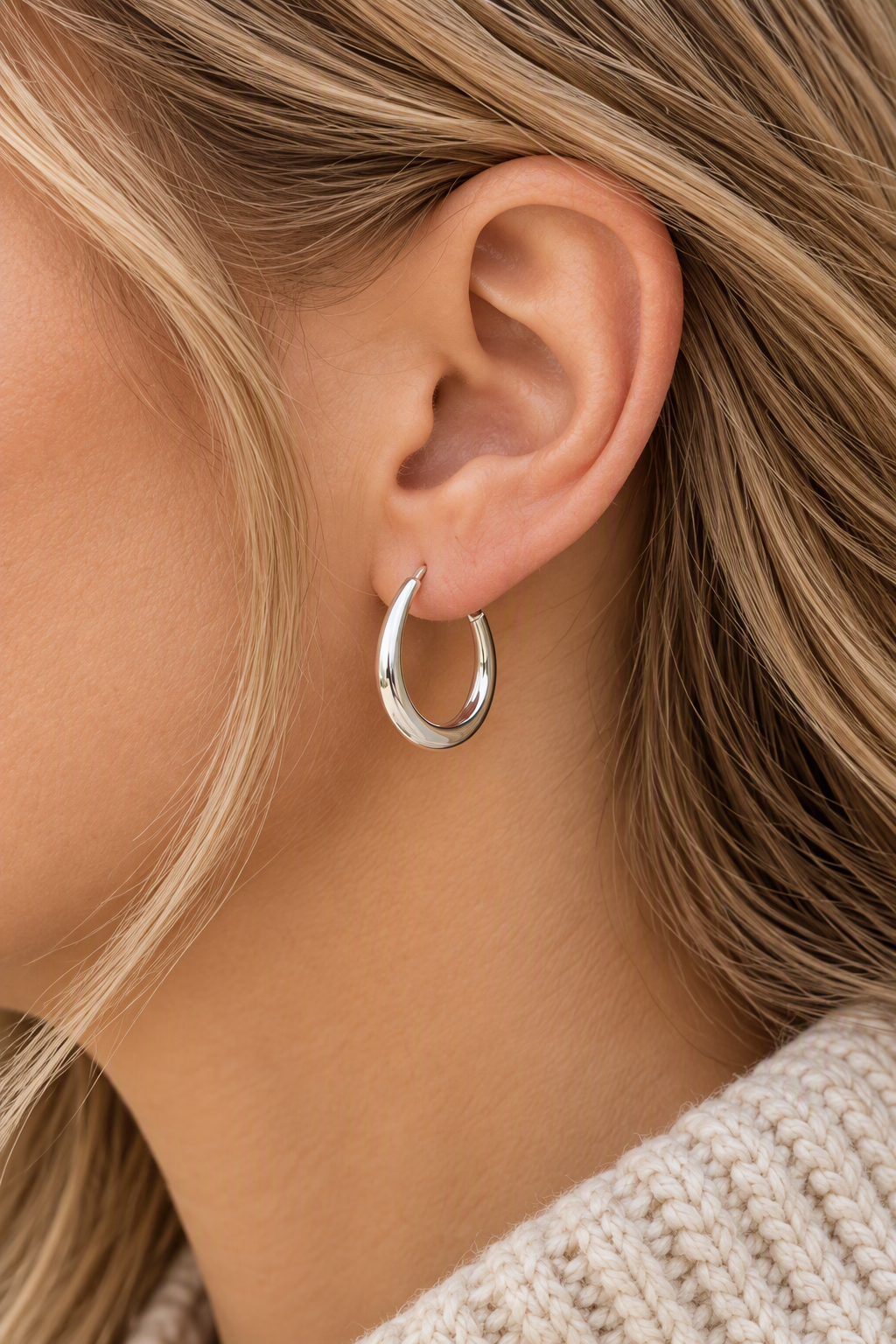 Horseshoe Hoop Earrings