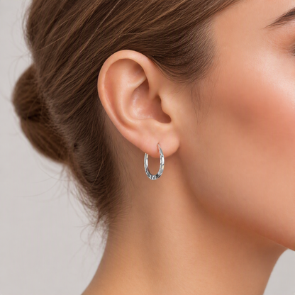 Horseshoe Hoop Earrings